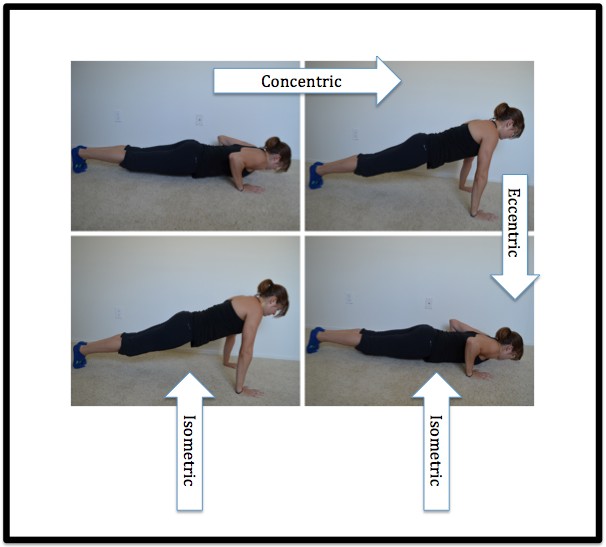 muscle contraction