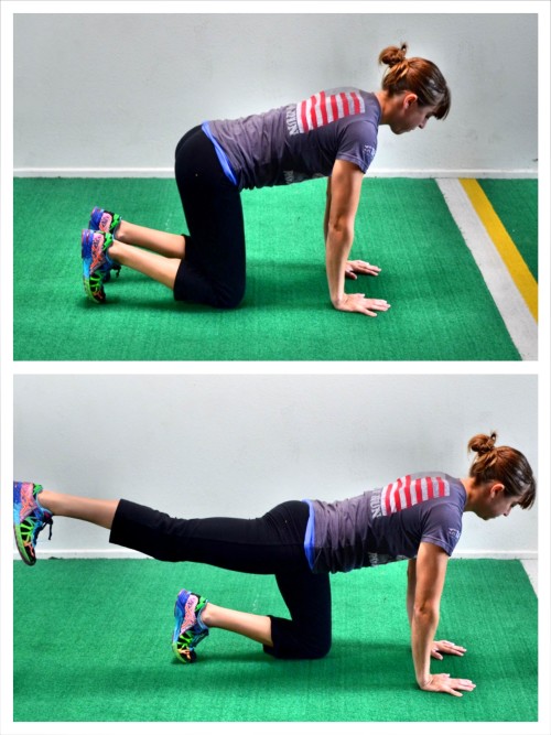 Leg Flexion, Quadruped, Mat, Exercise