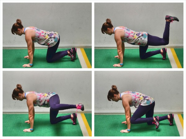 Quadruped Hip Circle Quadruped Hip Circle