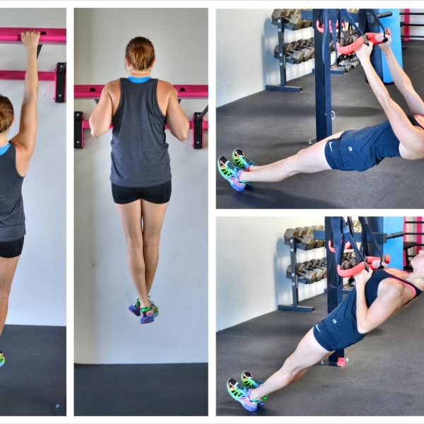 pull up vs. inverted row