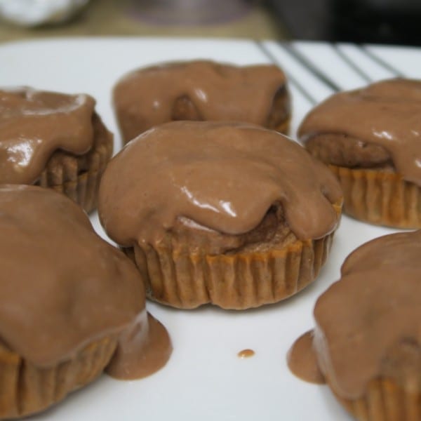 Chocolate Protein Cupcakes with Chocolate Malt Yogurt Frosting