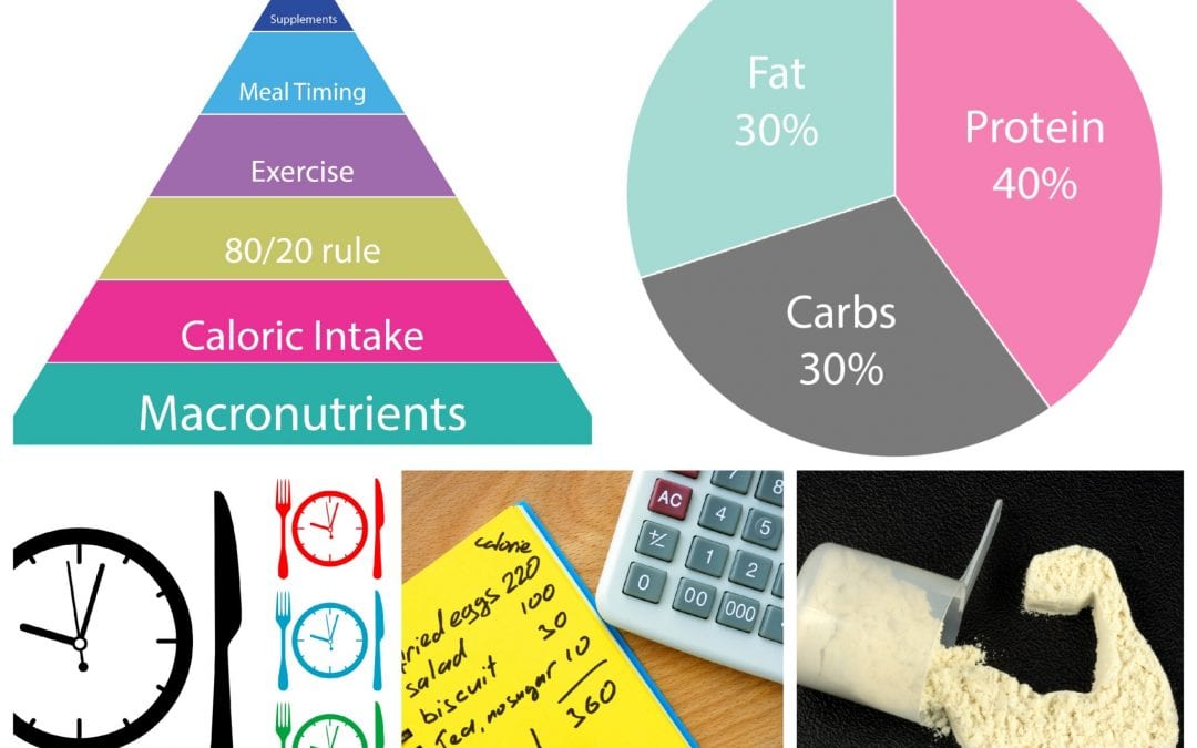 The Macro Cycling Pyramid Of Nutrition Priorities For Success