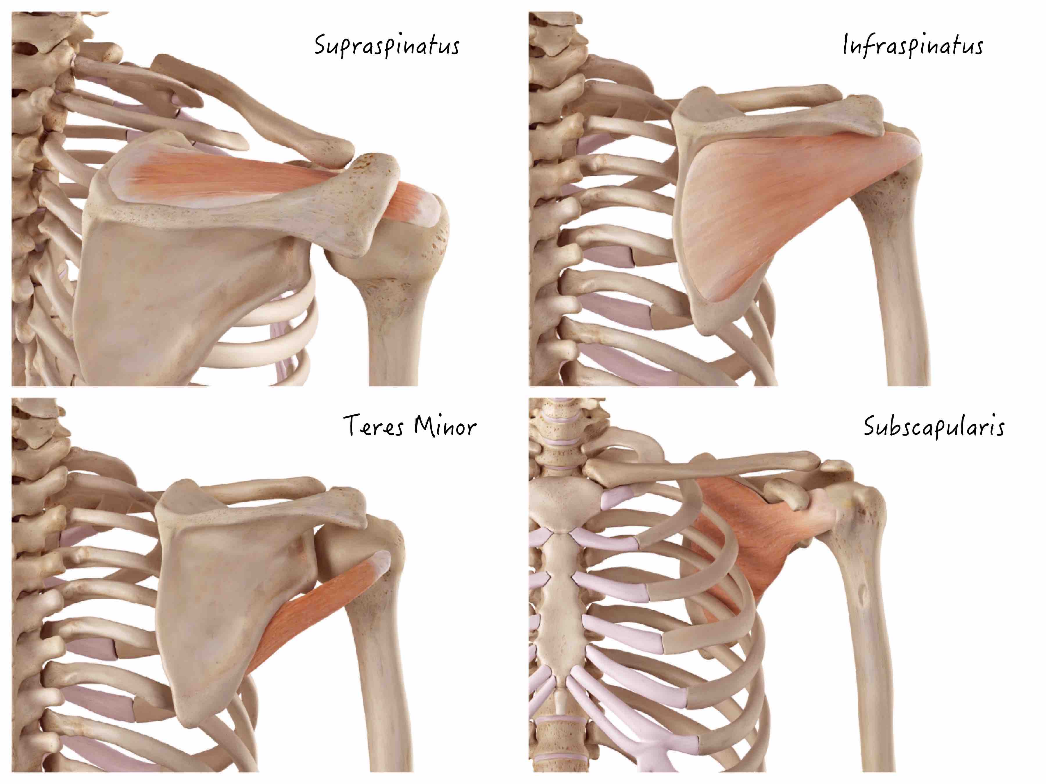 Stop Torturing Your Rotator Cuff!